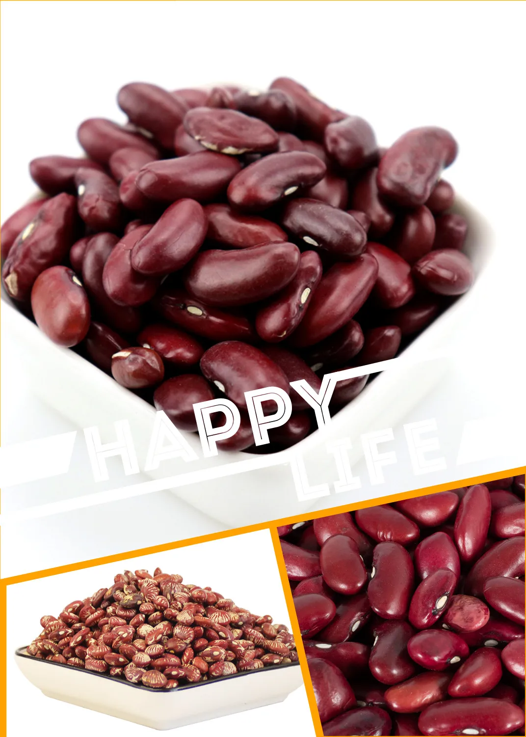 New crops high-quality China hot selling white red black kidney beans