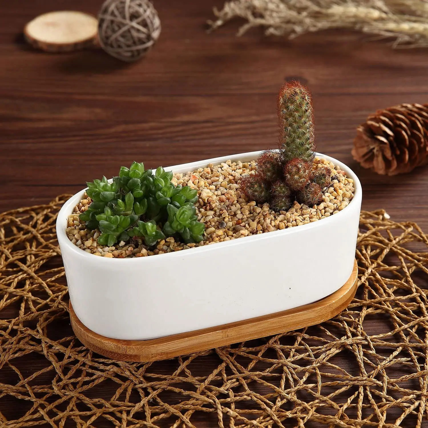 NEW 2.5 Inch Small White Succulent Planter Pots with Bamboo Tray Set of 3 