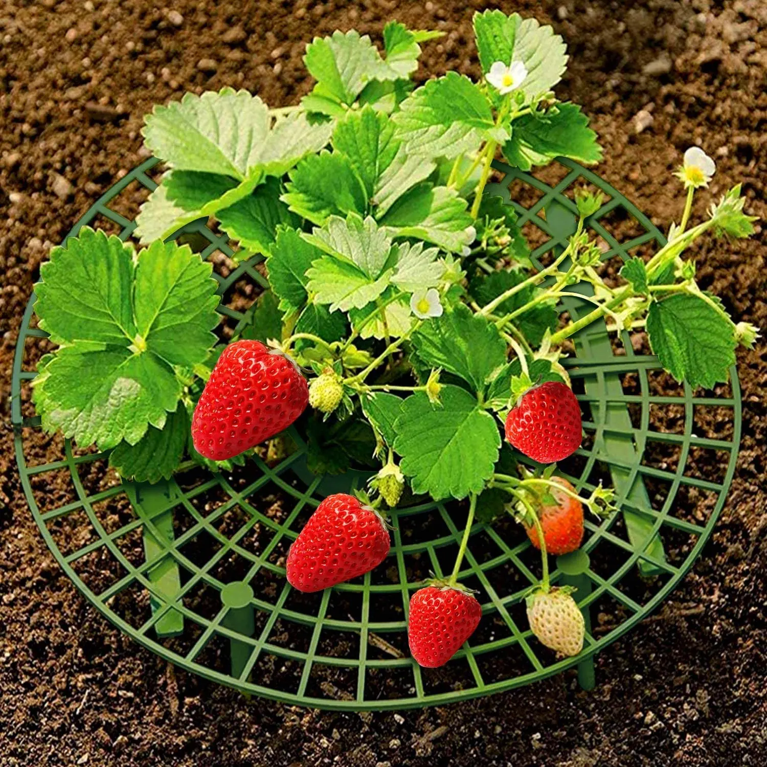 Strawberry Stand Frame Holder Balcony Planting Rack Fruit Support Plant