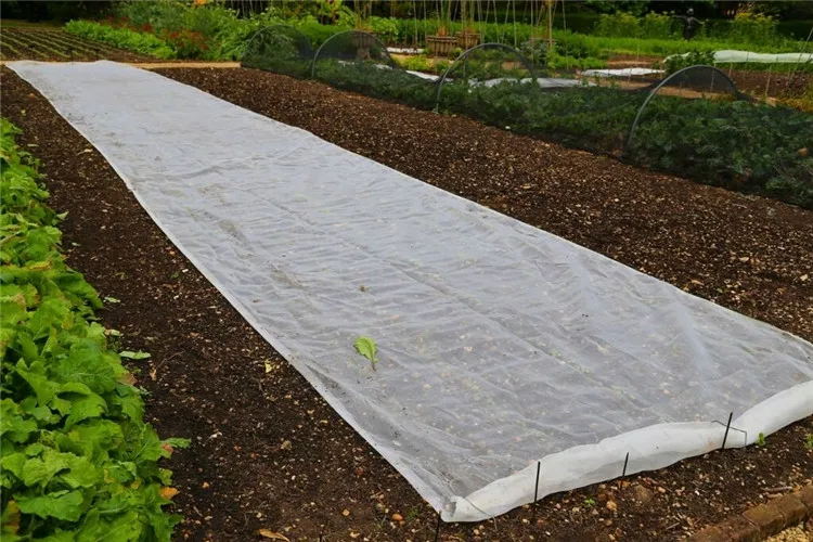Uv Plant Protection Cover Nonwoven Crop Cover Plant Protection Cover