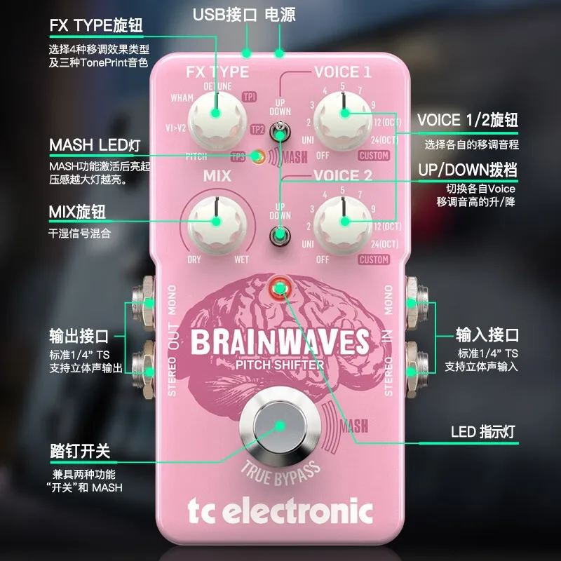 TC ELECTRONICS BRAINWAVES PITCH SHIFTER - Distortion Effect