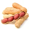 Halal Certificate Snack Roasted Peanuts In Shell Wholesale Cheaper