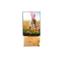 37pin 2.8 Inch Size and 240*320 Resolution 37pin hot sale lcd