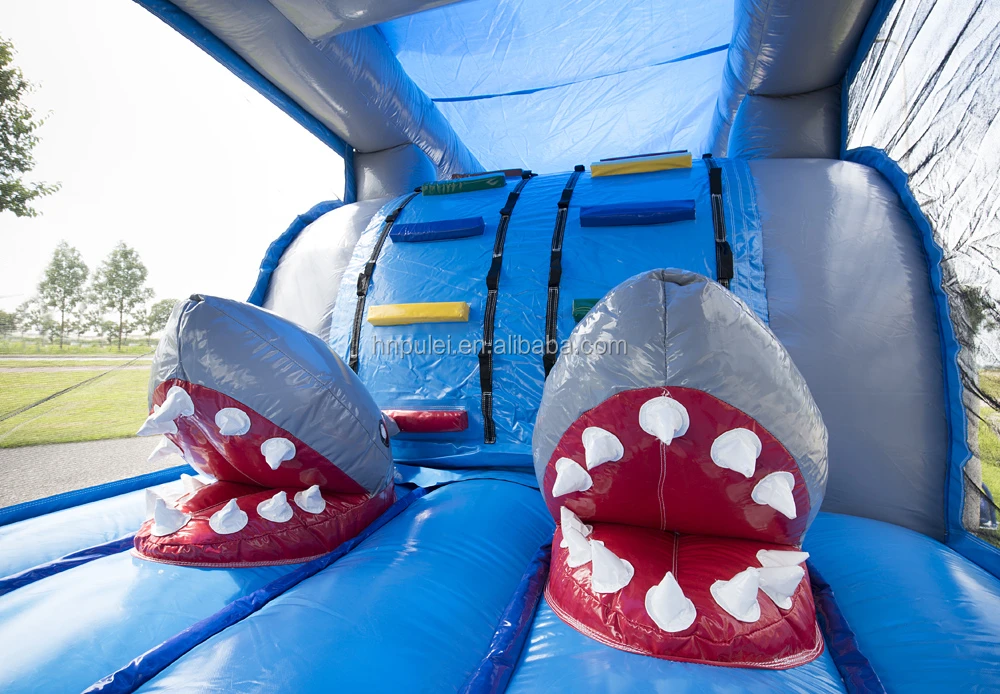 mini run shark (5).jpg