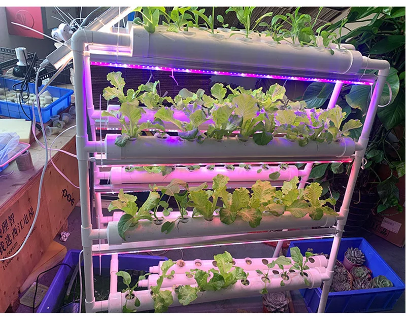 Rolling Wheels Hydroponic Setup NFT Rack for Plants Moving Easy High ...