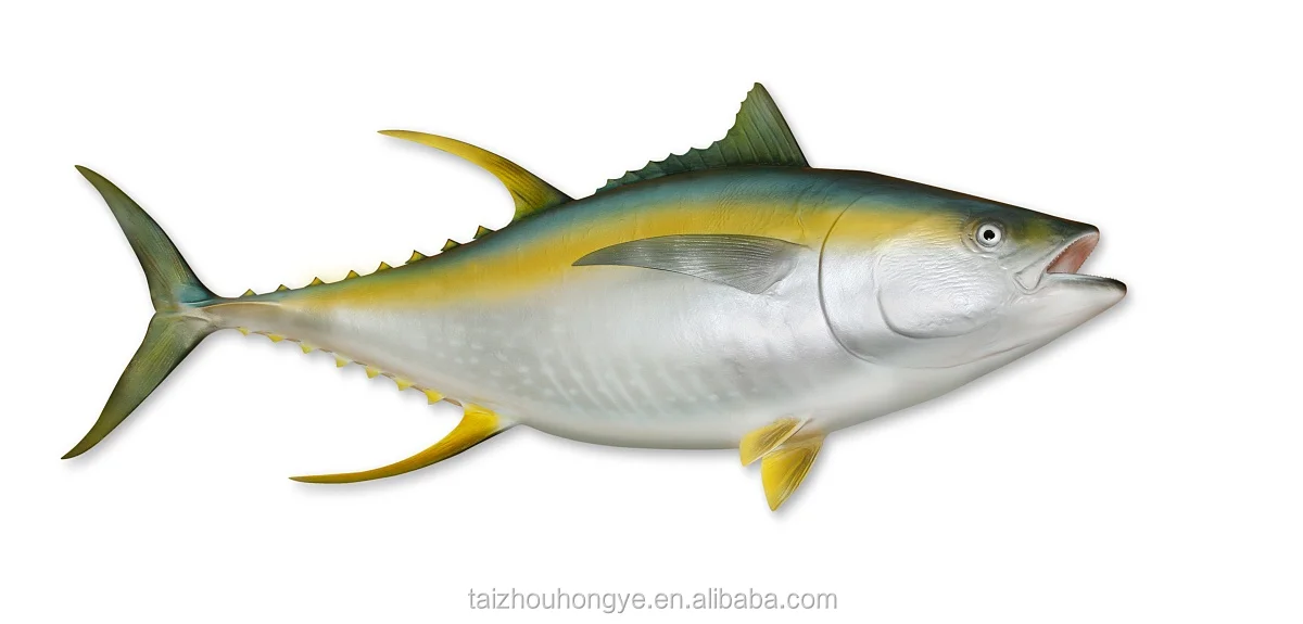 new frozen yellowfin tuna co treated saku