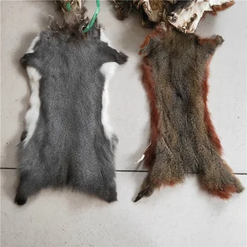top quality large size squirrel pelt tanned squirrel fur skin
