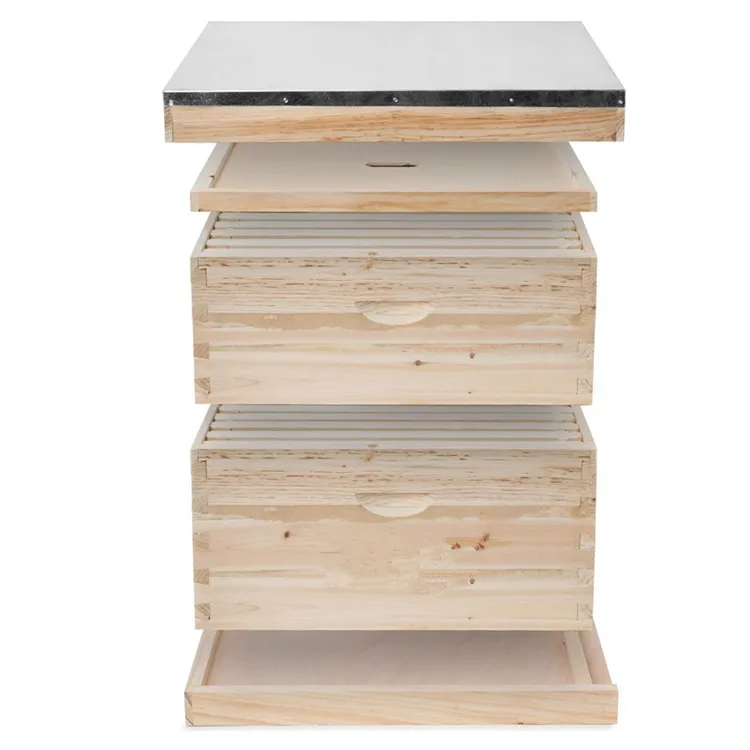 Amazon Hot Sale Beekeeping Equipment Unassembled Bee Hive 8 And 10