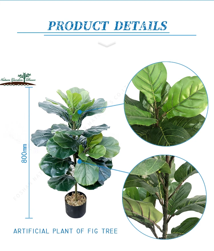 80CM(JC003F80L29-TY)