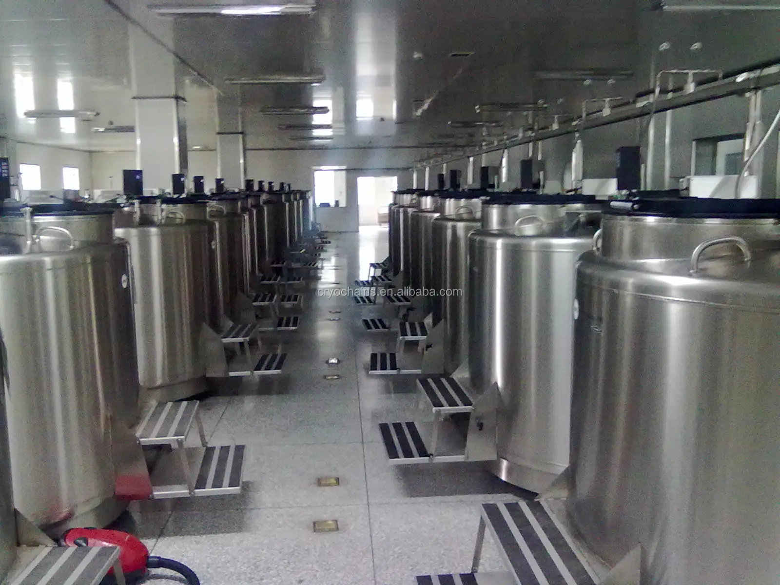 Liquid Nitrogen Stainless Steel Frozen Semen Tank Storage System For
