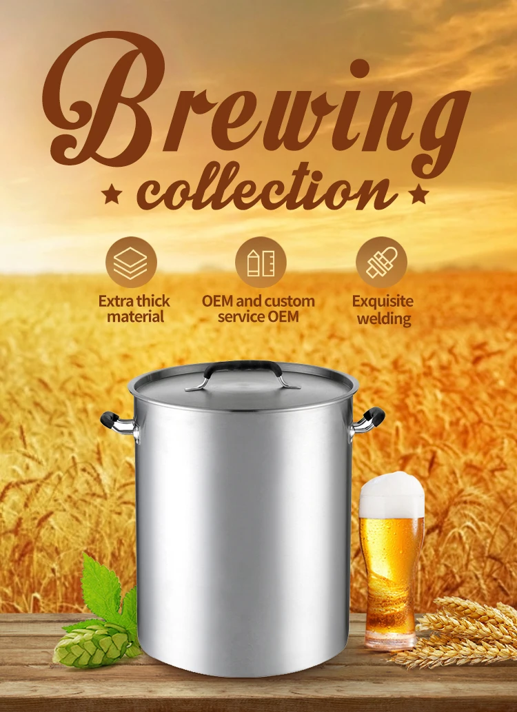 The Best Selling Micro 300 Litres 1000 Liters Home Used Beer Brewery