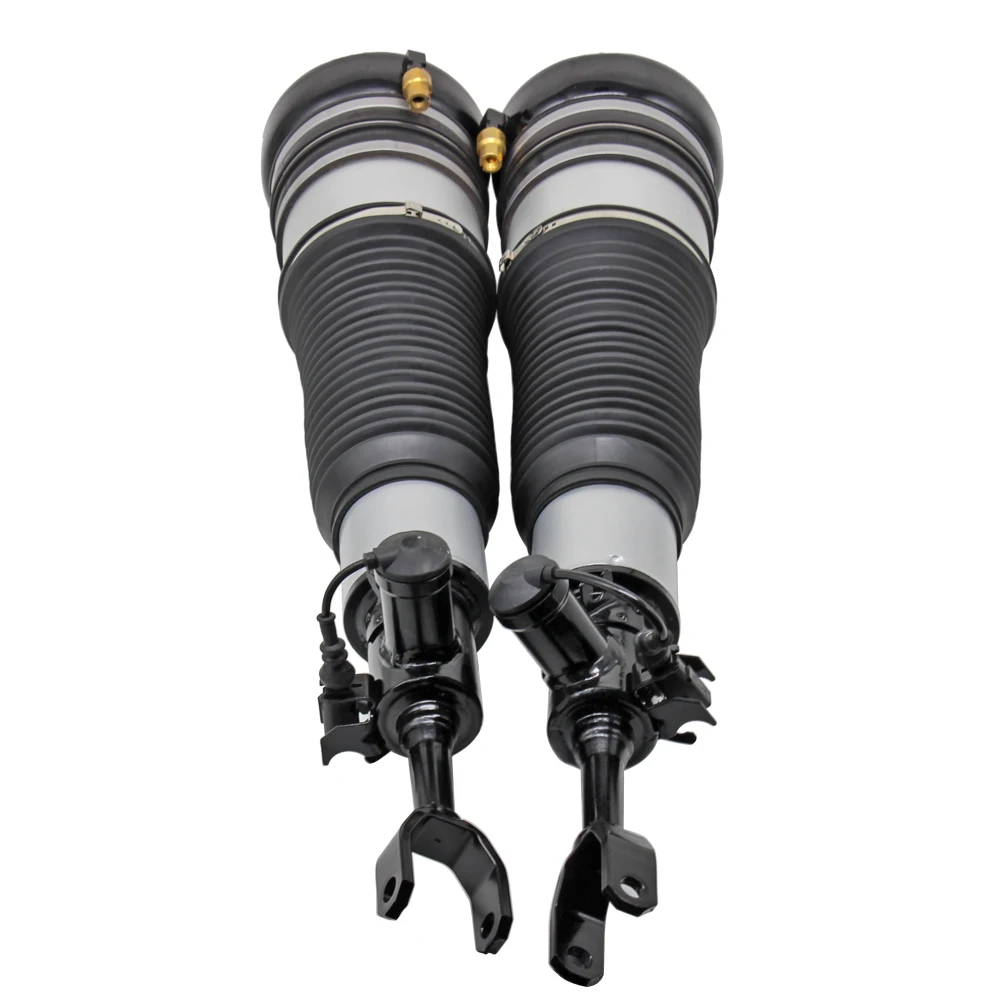 奥迪a6和s6 (c6 /4f) 的前空气悬架减震支柱4f0616040n