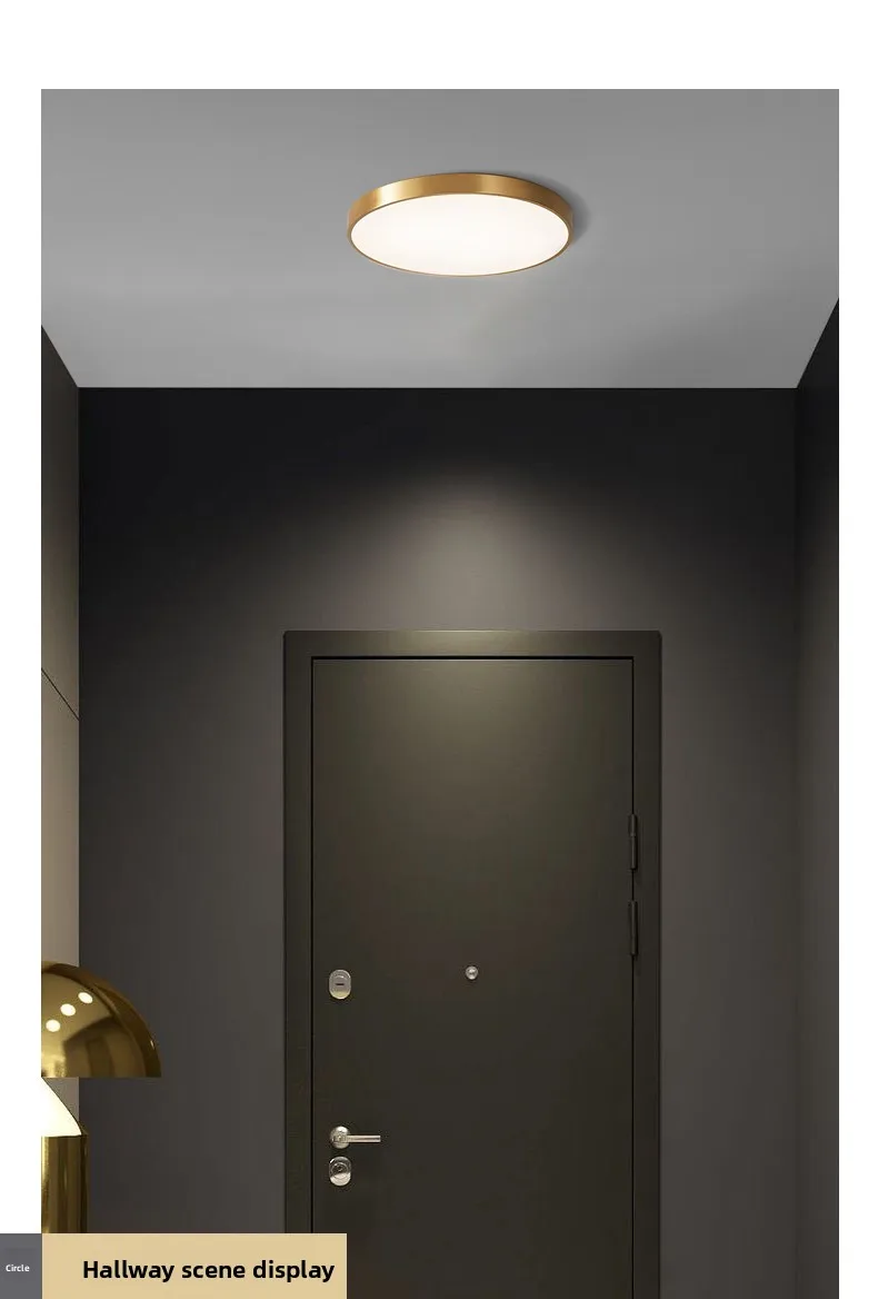 Modern Surface Mounted Bedroom Living Room Home Lighting Round Nordic Ceiling Light Led Lamp manufacture