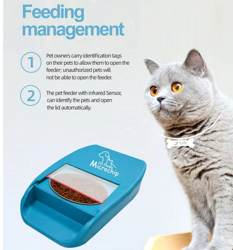 battery auto cat feeder