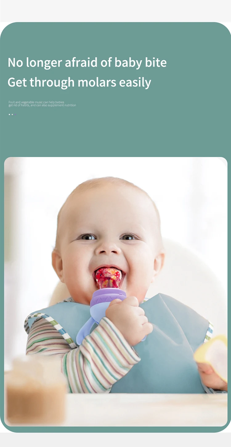 pacifier fruit baby feeder