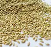 Chinese pure high quality Canary seed for birds seeds