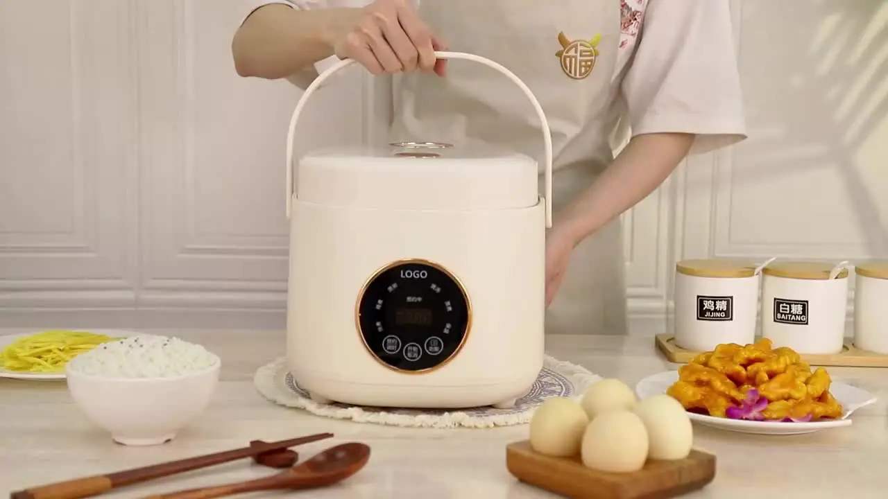 Mini Electric Rice Cooker Small Portable One Key