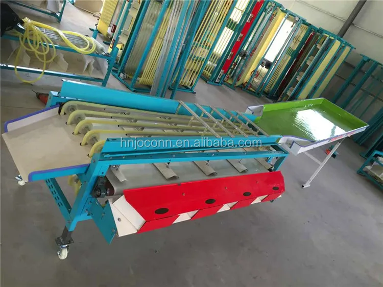 fruit sorting machine06.jpg