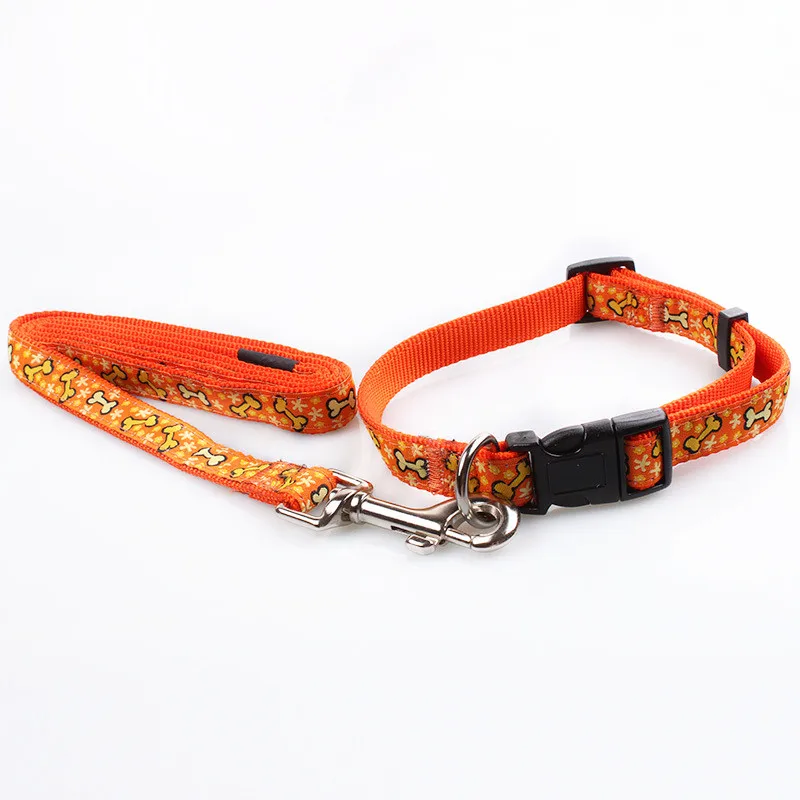 metal dog leashes and collars