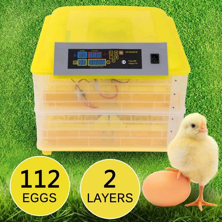 Egg hatching incubator online
