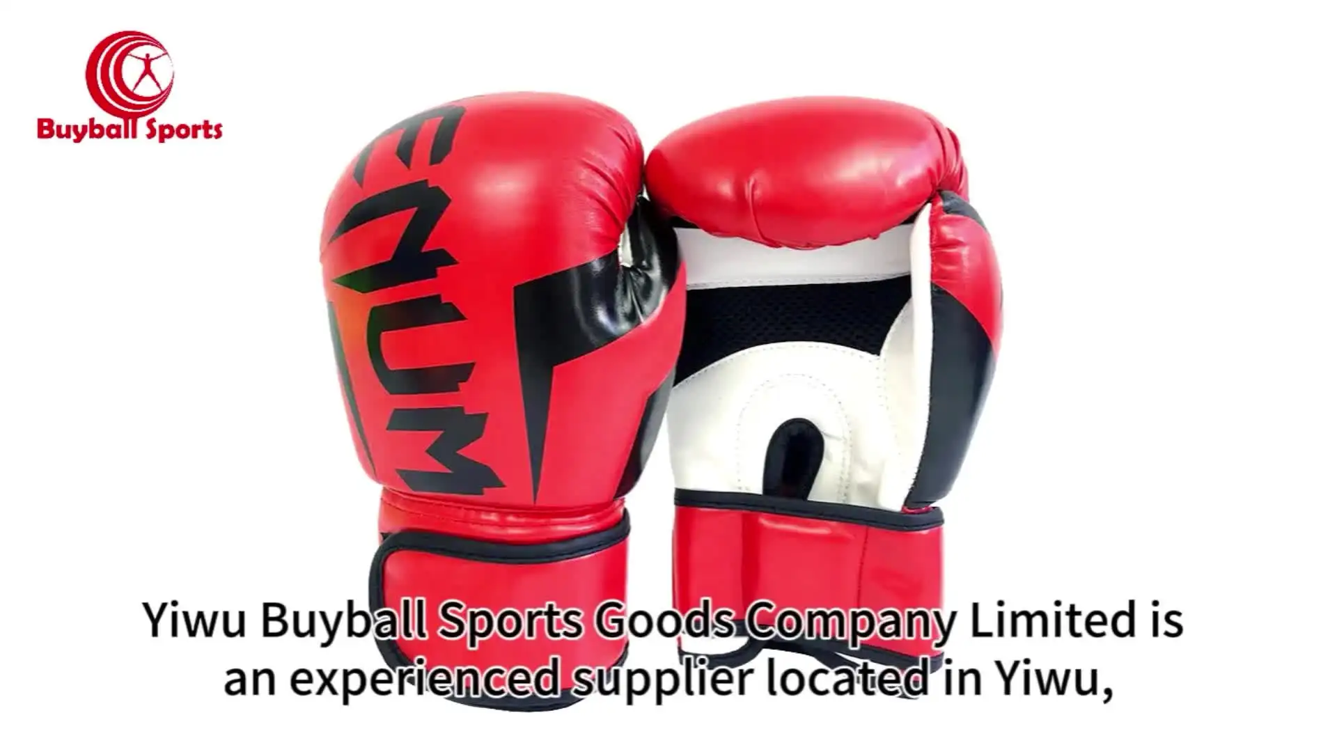 Paire De Gants De Frappe – Boxe, Karaté, Muay Thaï, Sanda – Pads Target