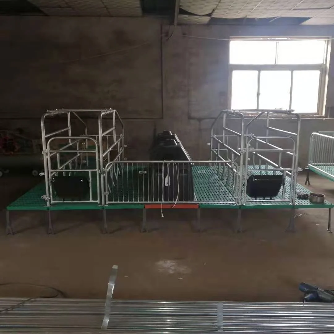 2 Sows Farrowing Crate/pig Used Farrowing Crates/farrowing House For