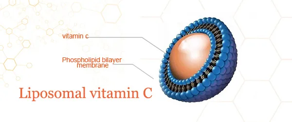 liposomal vitamin c.jpg