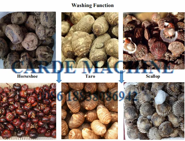 potato peeler with brush