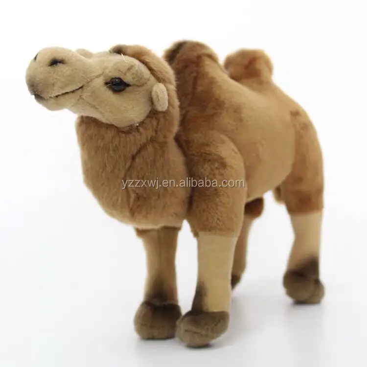 camel (1).jpg