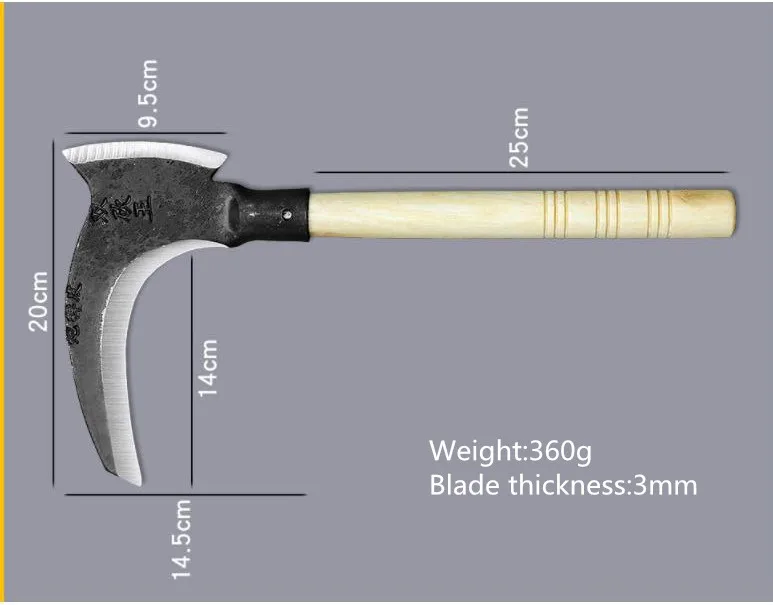 QQ20200303200027_.jpg