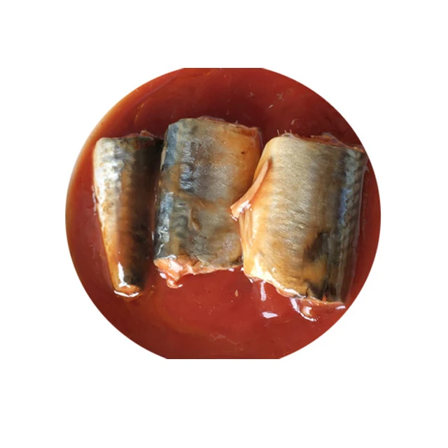 鲭鱼罐头鱼鲭鱼可以