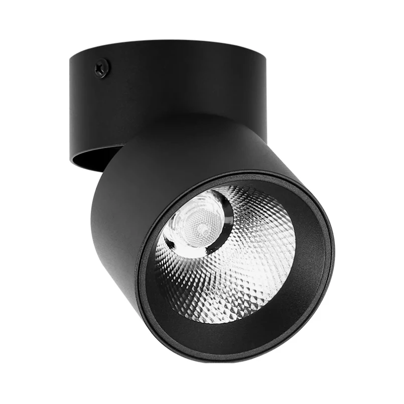 Outdoor Ceiling Spotlight Frame Mounted Lights With Built-in Focused ...