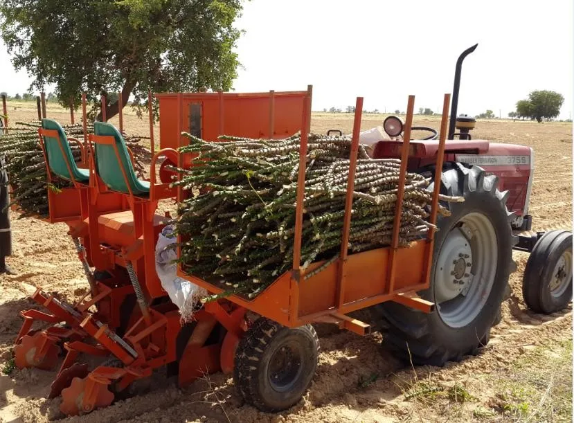 cassava planter economical cassava planting machine