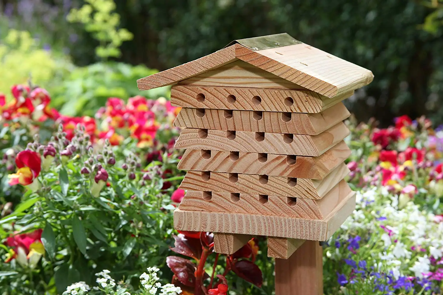 中国悬挂木制昆虫热蜂酒店蜜蜂蜂蜜房子蝴蝶房子