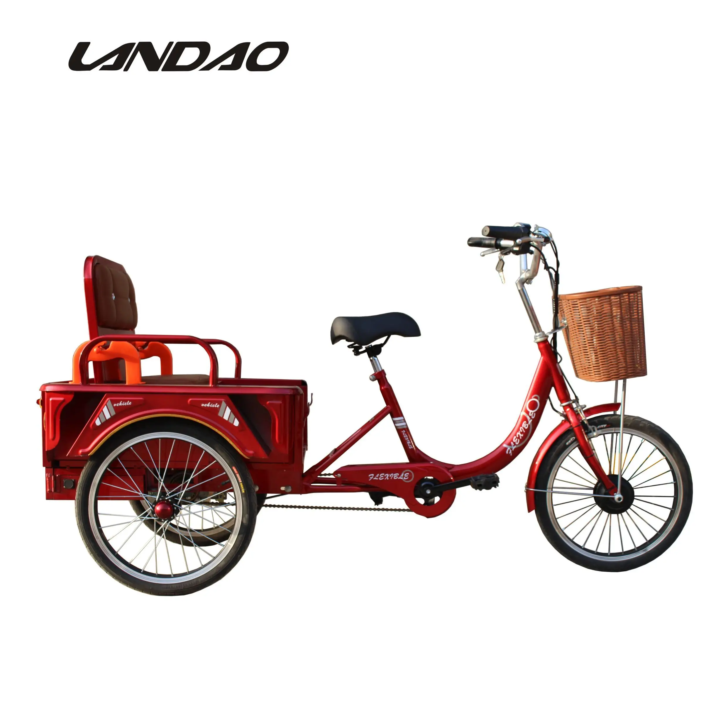 Powerful Foldable Tricycle Ebike 3 Wheels Electric Bike For Cargo Cargo