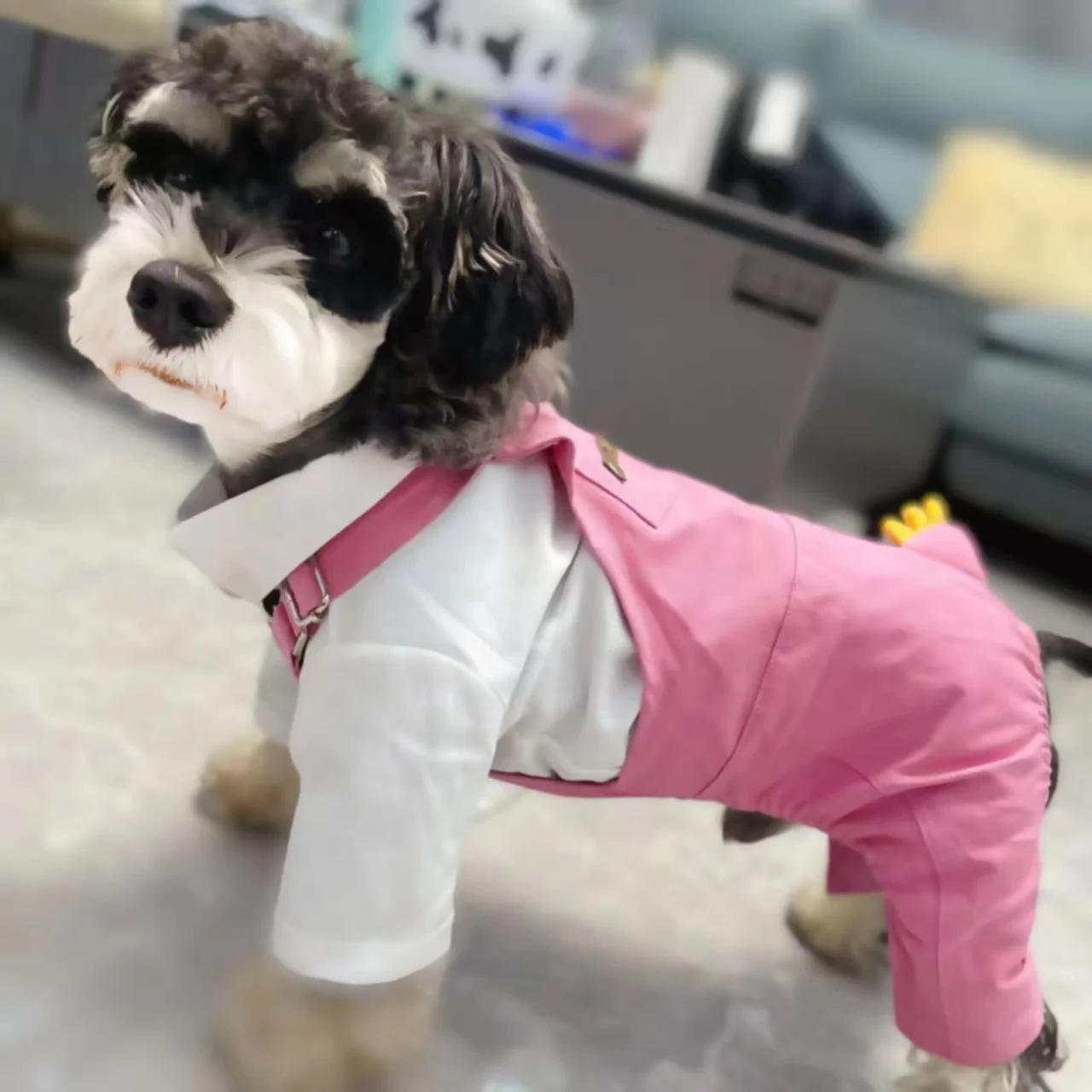 Fashion Pink And Green Dog Dress Basic Style Custom Dog Clothes Pet