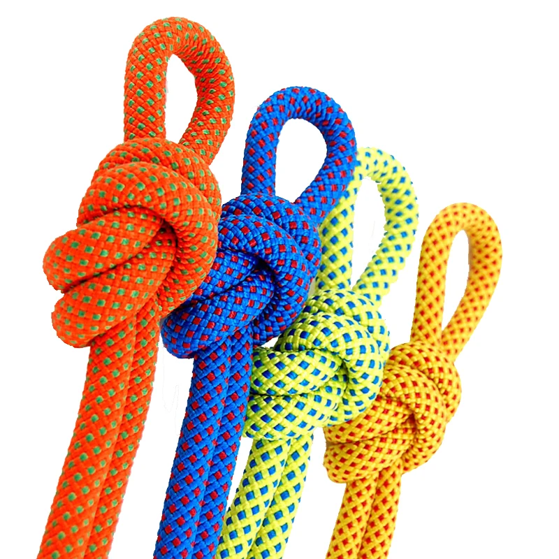 2mm 3mm 4mm 6mm 8mm Wholesale Polyester Srs Custom Color Climbing Rope