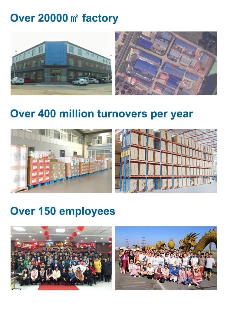 Custom Printing Aluminum Foil Plastic Reclosable Zip Lock Stand Up Food Grade Dried Fruit Mango Packaging Pouch Bags_09