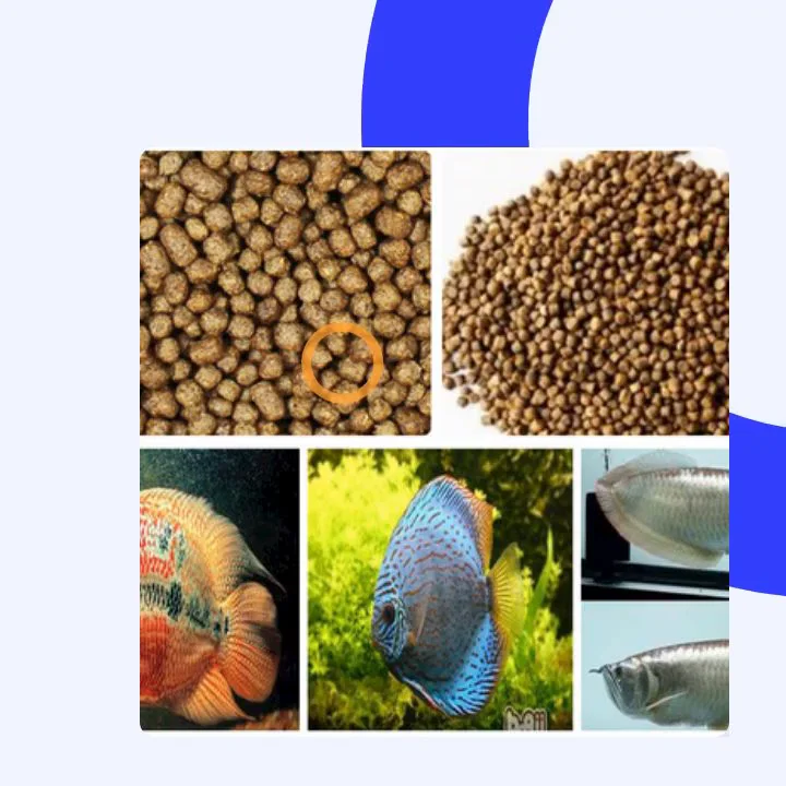 Shangdong Dry Fish Feed Pellet Extruder Pelletizing Machine For Fish