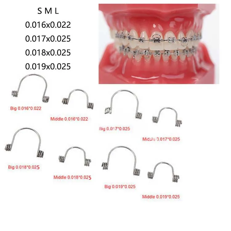 Dental Single Looped Orthodontic Tooth Torque Spring Buy Tooth Torque