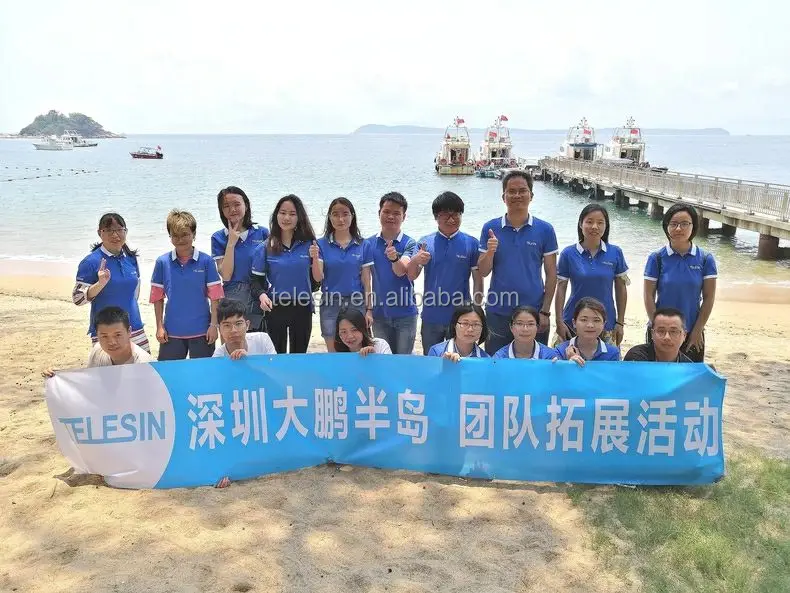 Our team