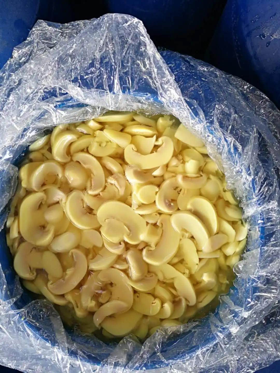 Premium Mushroom Sliced in Brine