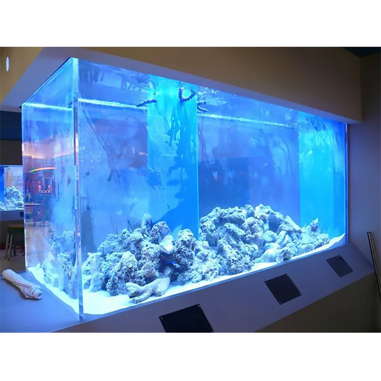 Aquarium 500L store