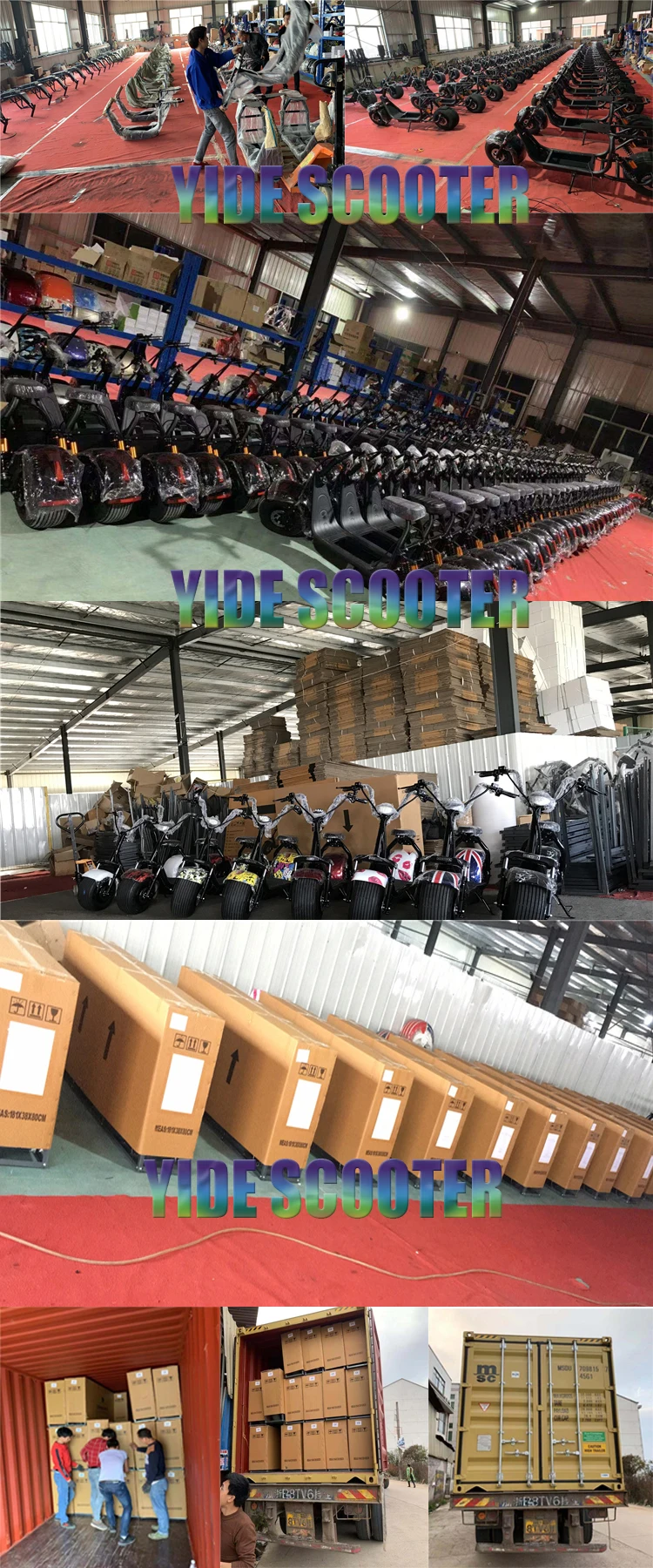 Holland Warehouse European Warehouse Stock 800W 1000W 1500W Electric Scooter Citycoco With EEC