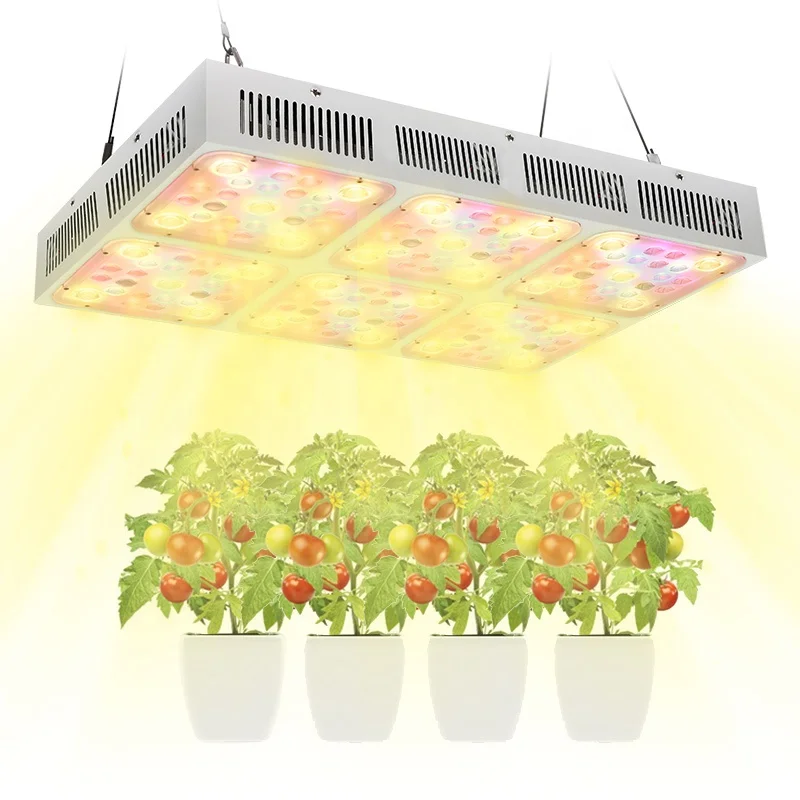 Led Grow Light Bloom Flower Veg Vegetable Double Switch 200W 300W 600W Cob Led Grow Light Full Spectrum