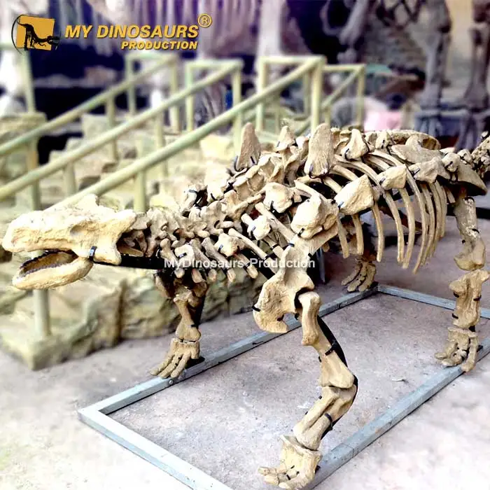 ankylosaurus skeleton