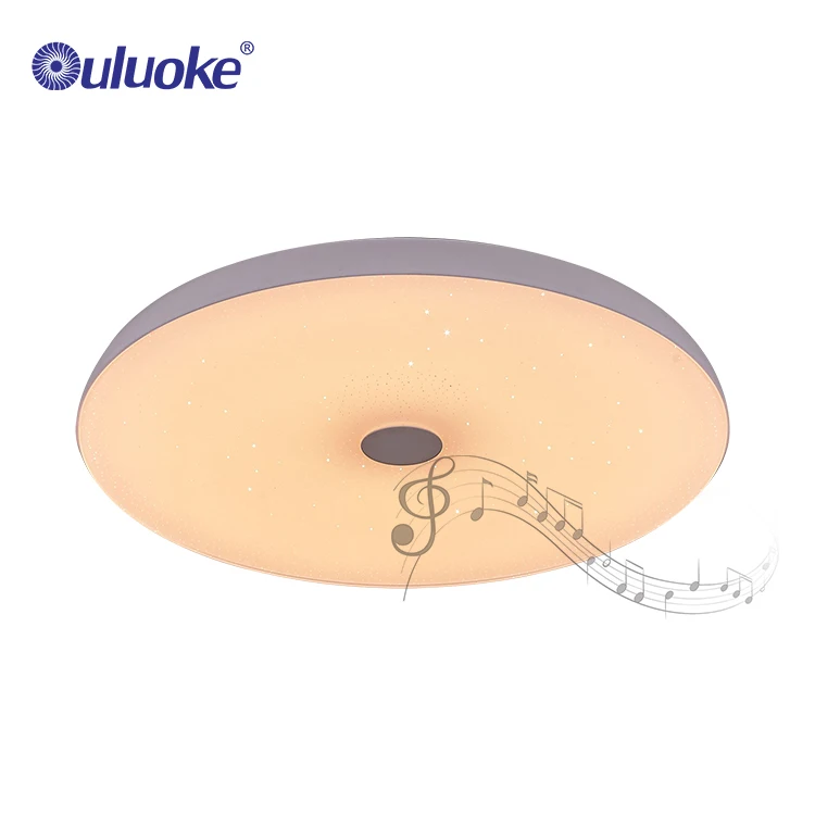 Super Bright Hallway Corridor Dimmable Bluetooth Modern 48W Indoor Smart LED Ceiling Light