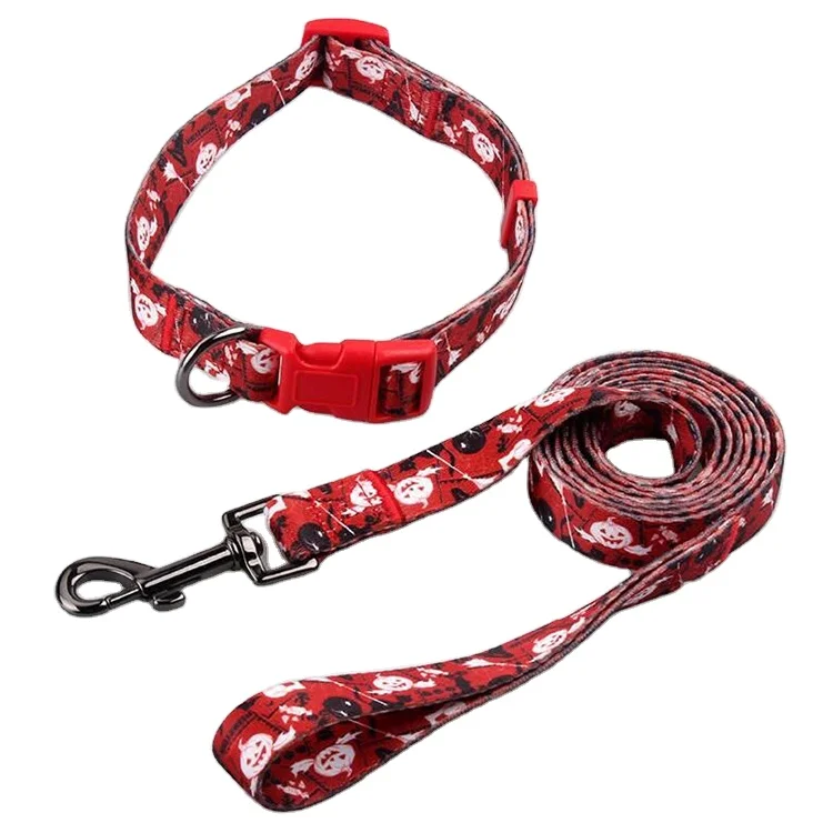 Dog collar leashes-15