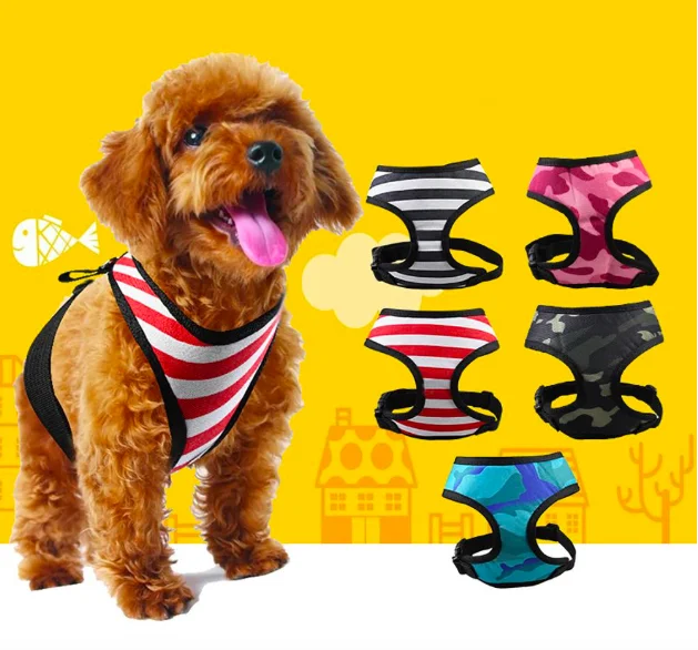 puppy harness and leash