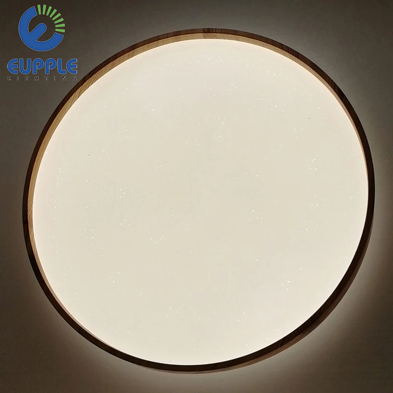 Indoor lamp fitting 12W 16W 24W LED Ceiling light for home